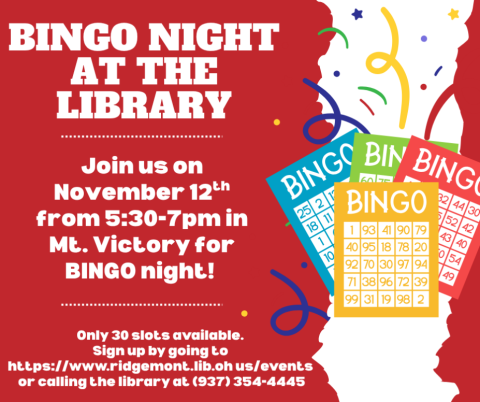 bingo night at the library flyer