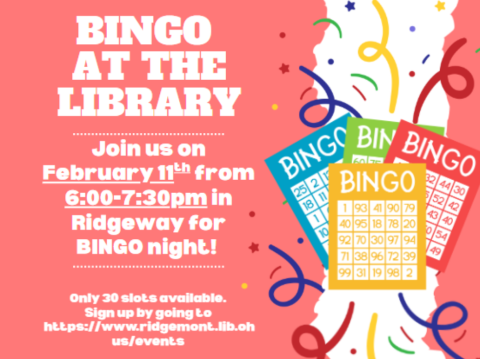 Bingo at the Library